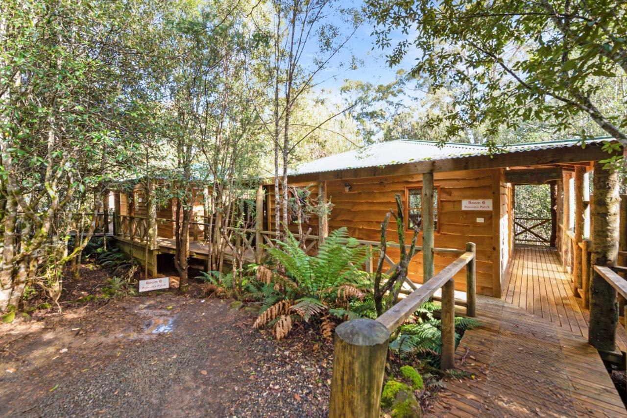 Cradle Forest Inn Moina Exterior photo