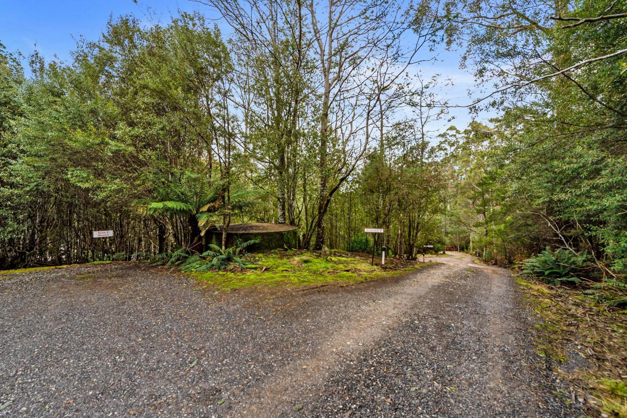Cradle Forest Inn Moina Exterior photo