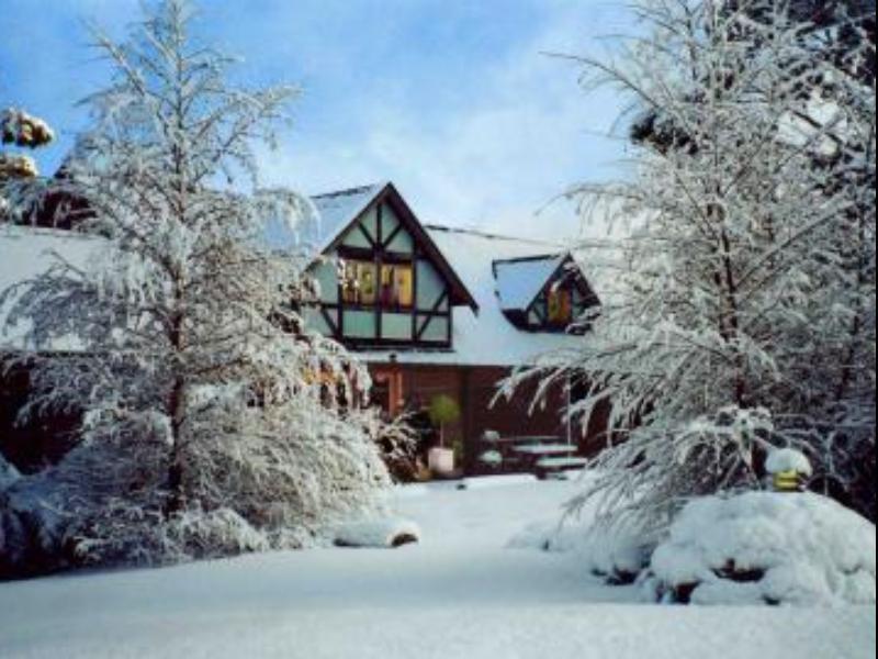 Cradle Forest Inn Moina Exterior photo