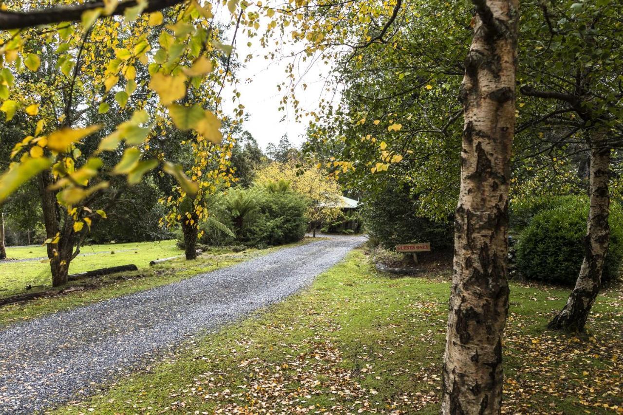 Cradle Forest Inn Moina Exterior photo